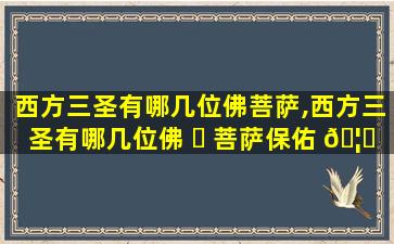 西方三圣有哪几位佛菩萨,西方三圣有哪几位佛 ☘ 菩萨保佑 🦈